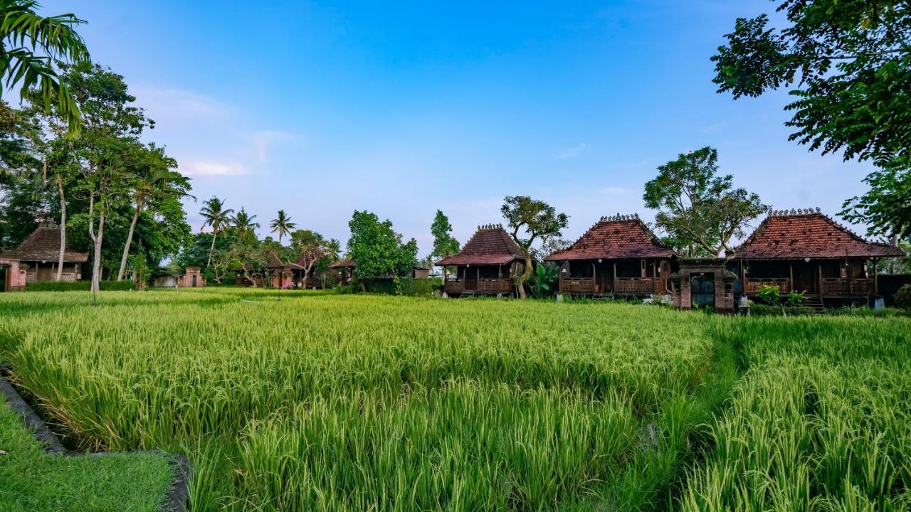 Kajane Yangloni At Bali Ubud